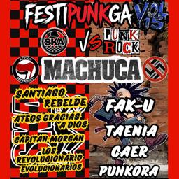 FESTIPUNGA VOL 15 SKA VS PUNK