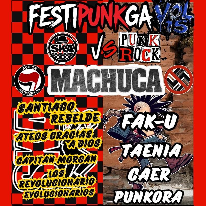 FESTIPUNGA VOL 15 SKA VS PUNK