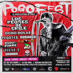 POGO FEST