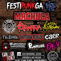 FESTIPUNGA VOL 15 SKA VS PUNK