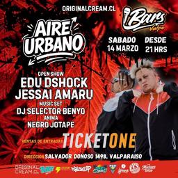 AIRE URBANO VALPARAISO